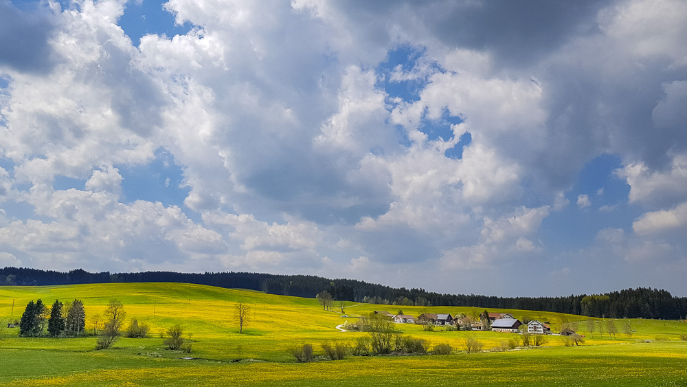 Platz 12 Robert Seitz